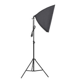 Lampes de studio professionnelles 2 pcs 40x60 cm