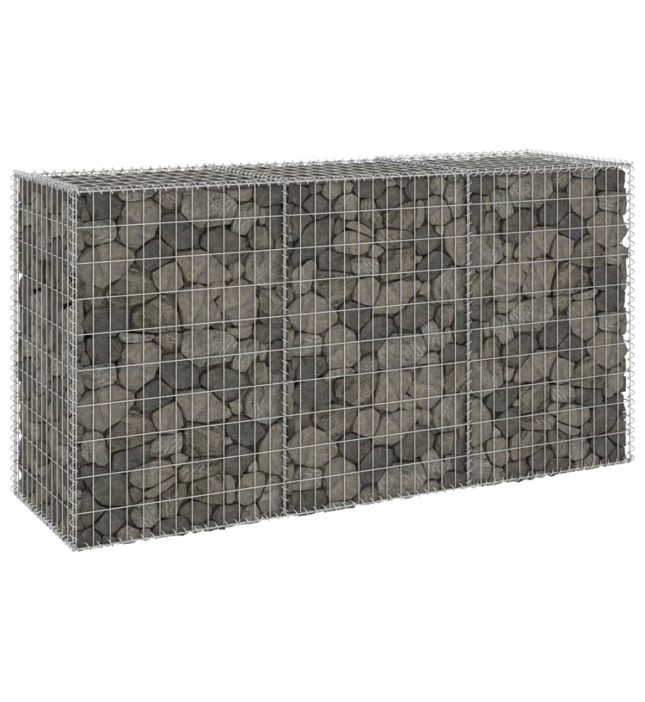 Mur en gabion avec couvercles Acier galvanisé 200x60x100 cm