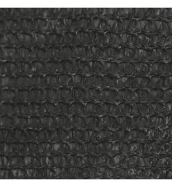 Voile d'ombrage 160 g/m² Anthracite 3x4x5 m PEHD