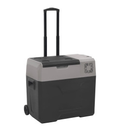 Glacière avec roue et adaptateur noir et gris 40L polypropylène