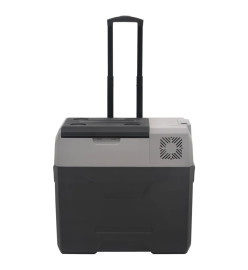 Glacière avec roue et adaptateur noir et gris 40L polypropylène