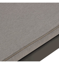 Banc de salon de jardin avec coussin Plastique Gris