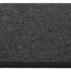 Tapis de couloir Anthracite 50x150 cm