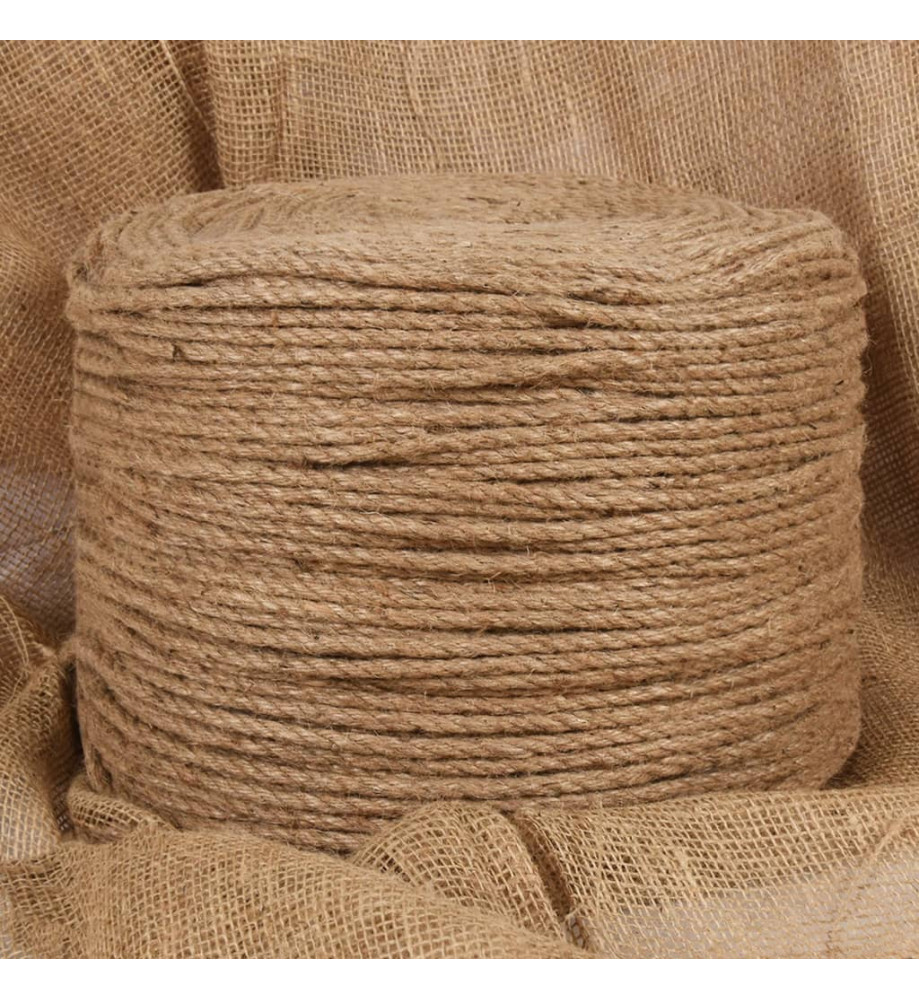 Corde de jute 50 m de long 4 mm d'épaisseur