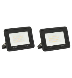 Projecteurs à LED 2 pcs 30 W Blanc froid