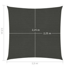 Voile d'ombrage 160 g/m² Anthracite 2,5x2,5 m PEHD