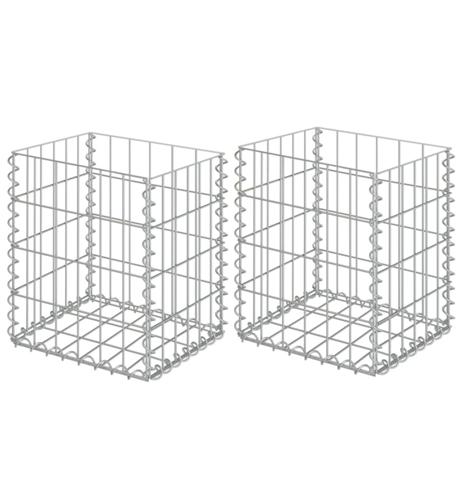 Paniers de gabion 2 pcs Acier galvanisé 30x30x40 cm