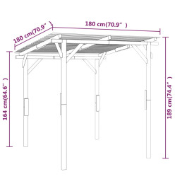 Auvent de jardin Bois de pin imprégné 180x180x189 cm