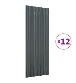 Panneaux de toiture 12 pcs Acier Anthracite 100x36 cm