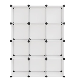 Cubes de rangement 12 pcs Transparent PP