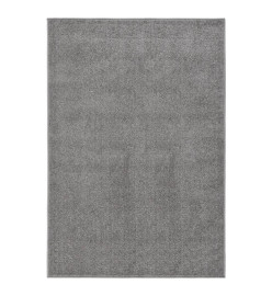 Tapis à poils courts 200x290 cm Gris