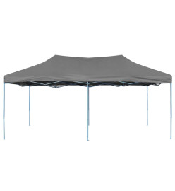 Tente de réception pliable 3 x 6 m Anthracite