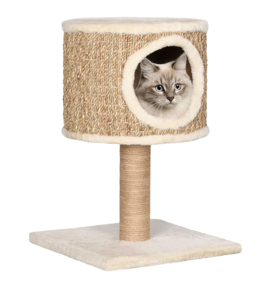 Arbre à chat avec appartement et griffoir 52 cm Herbiers marins