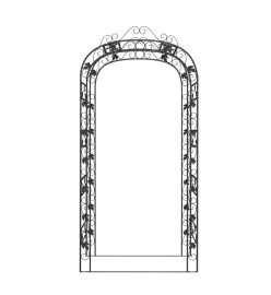 Arche de jardin Noir 116x45x240 cm Acier