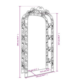 Arche de jardin Noir 116x45x240 cm Acier