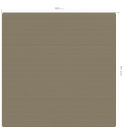 Tapis de tente 400x400 cm Taupe