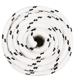 Corde de bateau tressé Blanc 20 mmx100 m Polyester