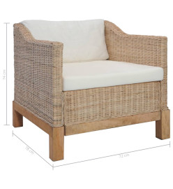 Fauteuil avec coussins Rotin naturel