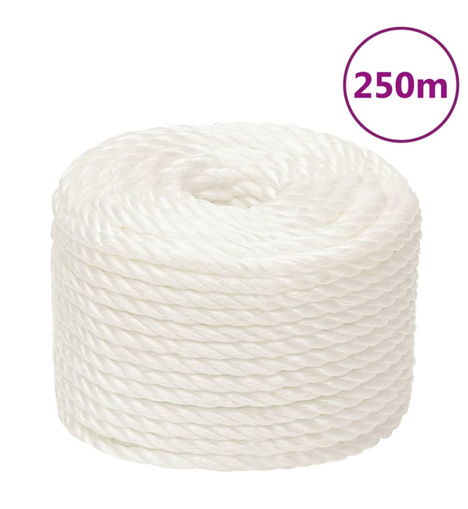 Corde de travail Blanc 12 mm 250 m polypropylène