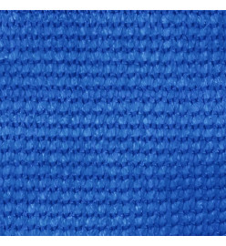 Tapis de tente 250x450 cm Bleu