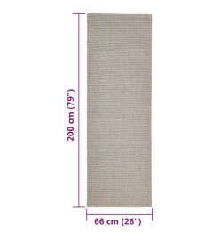 Tapis Sisal naturel 66x200 cm Sableux