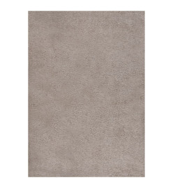 Tapis shaggy à poils longs Beige 140x200 cm