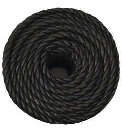 Corde de travail Noir 10 mm 100 m polypropylène