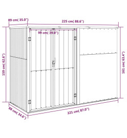 Abri à outils de jardin Gris 225x89x161 cm Acier galvanisé