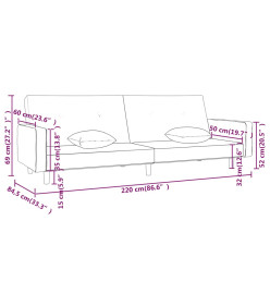 Canapé-lit à 2 places avec deux oreillers Gris clair Tissu