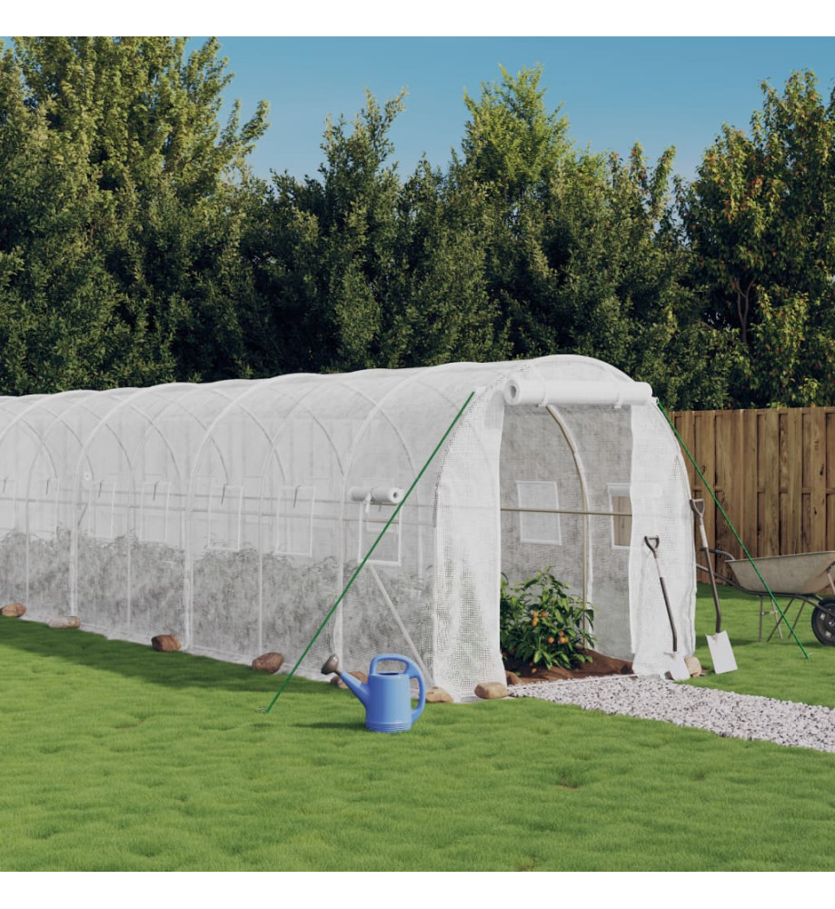 Serre avec cadre en acier blanc 48 m² 24x2x2 m