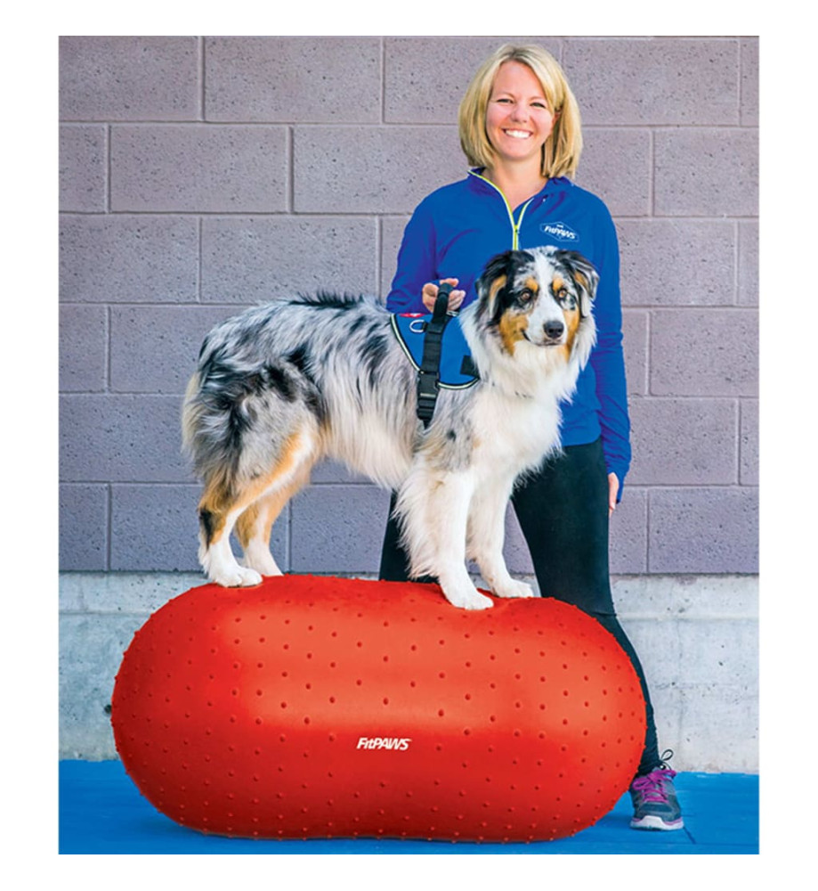 FitPAWS Plate-forme d'équilibre pour animaux de compagnie 50 cm Rouge