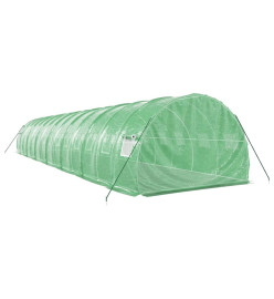 Serre avec cadre en acier vert 42 m² 14x3x2 m