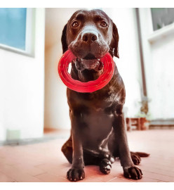 Ferplast Jouet dentaire pour chien Smile L 20x18x4 cm Rouge