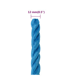 Corde de travail Bleu 12 mm 50 m Polypropylène