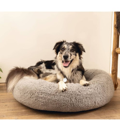 Beeztees Lit pour chien Mousse à mémoire de forme Jaxx 60x25 cm Gris