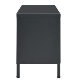 Meuble TV Anthracite 90x30x44 cm Acier et verre