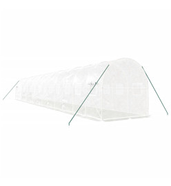 Serre avec cadre en acier blanc 28 m² 14x2x2 m