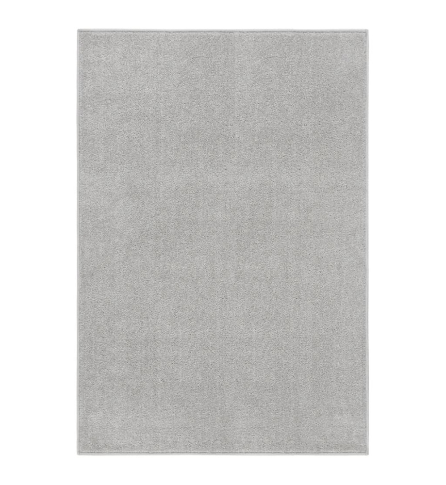 Tapis à poils courts 200x290 cm Gris clair