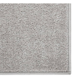 Tapis à poils courts 200x290 cm Gris clair