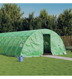 Serre avec cadre en acier vert 50 m² 10x5x2,3 m