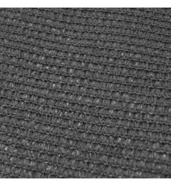 Tapis de tente 250 x 300 cm Anthracite