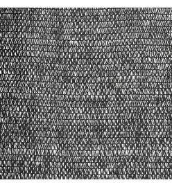 Filet brise-vue Noir 1,2x10 m PEHD 150 g/m²