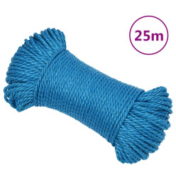 Corde de travail Bleu 3 mm 25 m Polypropylène