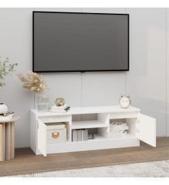 Meuble TV avec porte Blanc 102x30x36 cm