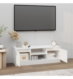 Meuble TV avec porte Blanc brillant 102x30x36 cm