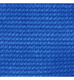 Tapis de tente 250x300 cm Bleu