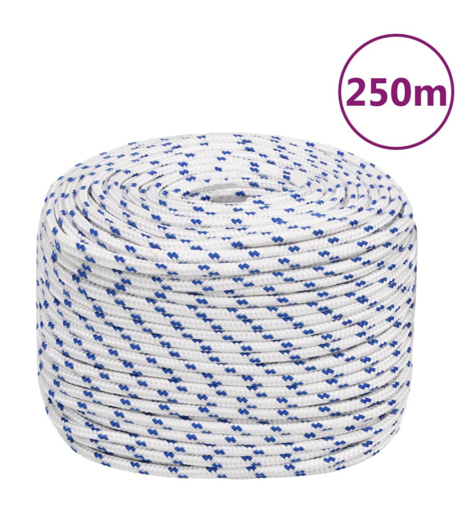 Corde de bateau Blanc 6 mm 250 m Polypropylène