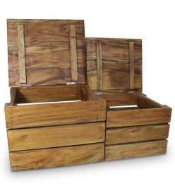 Jeu de caisse de rangement 2 pcs Bois de récupération massif