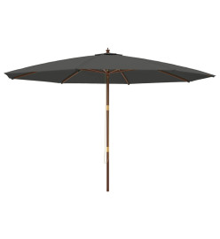 Parasol de jardin avec mât en bois anthracite 400x273 cm