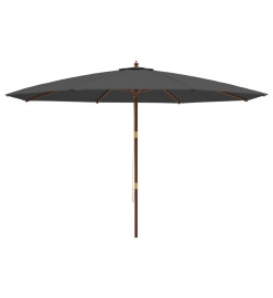 Parasol de jardin avec mât en bois anthracite 400x273 cm